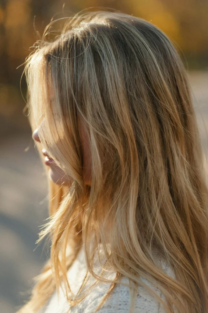 Honey Blonde Highlights